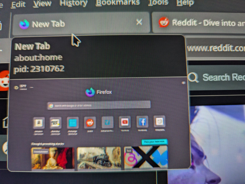 FirefoxNightly_pids1.jpg