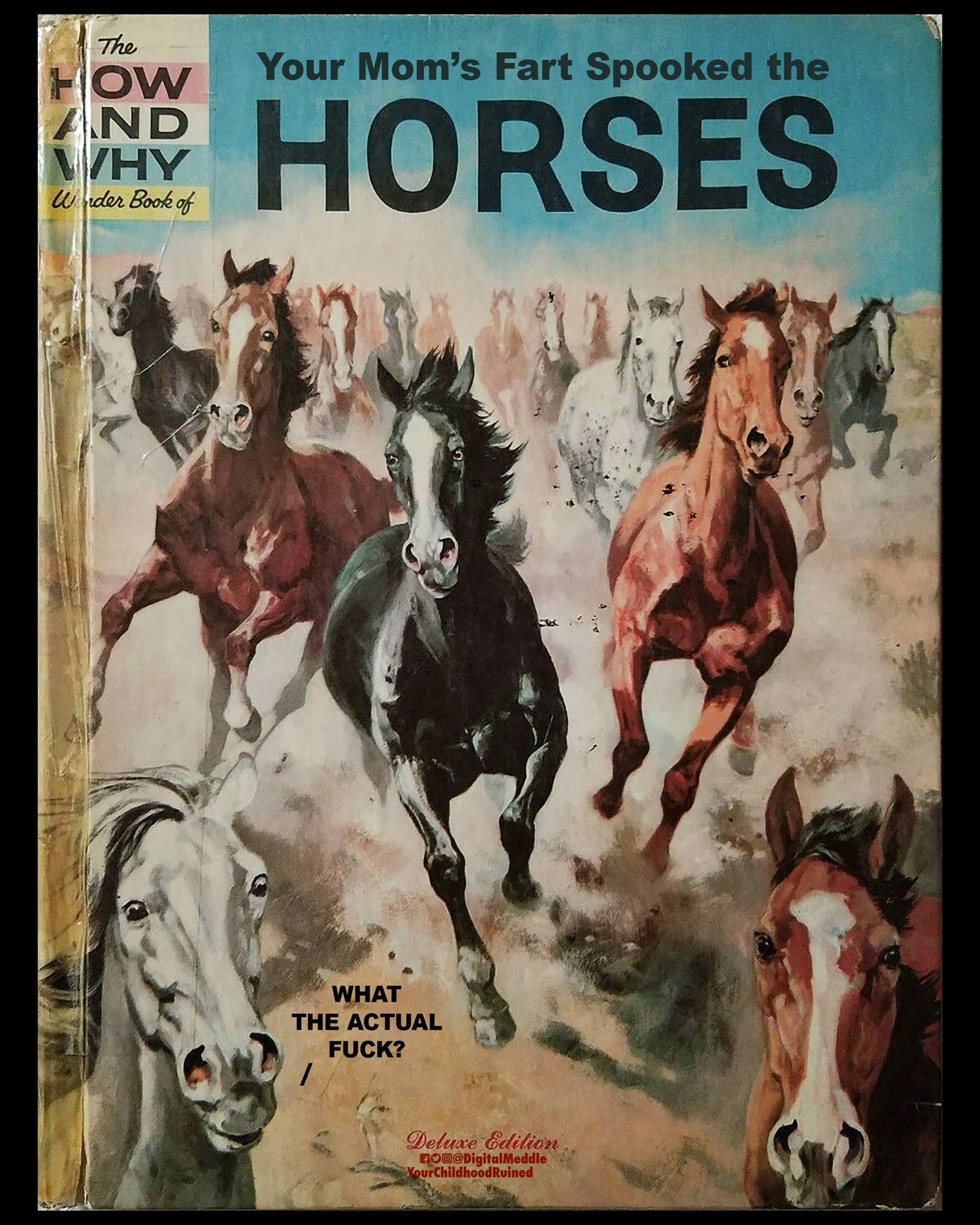 fartscaredthehorses.jpg